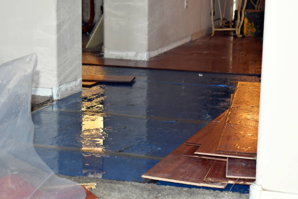 Professional Burst Pipe Cleanup technician working in Rumson, NJ